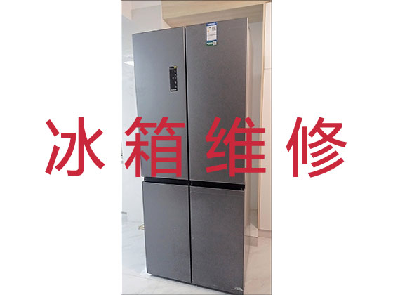 上海冰箱冰柜维修服务